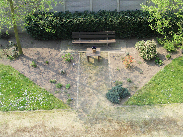 tuin2.jpg